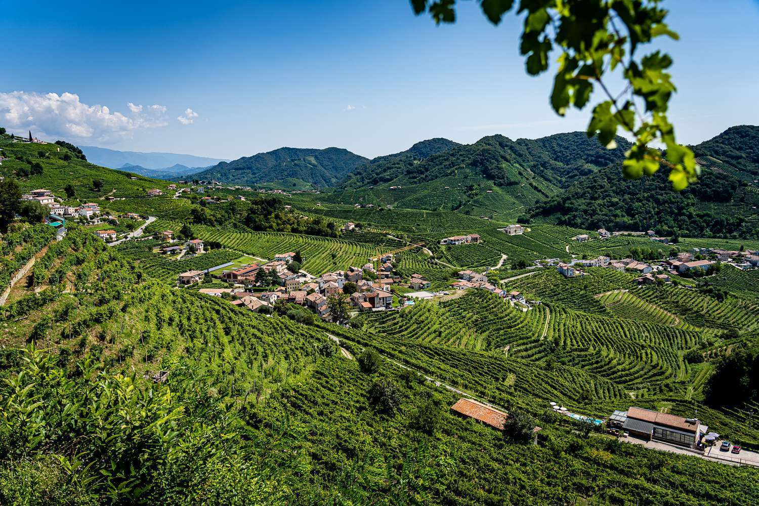 Italy Pic of the Day Prosecco UNESCO