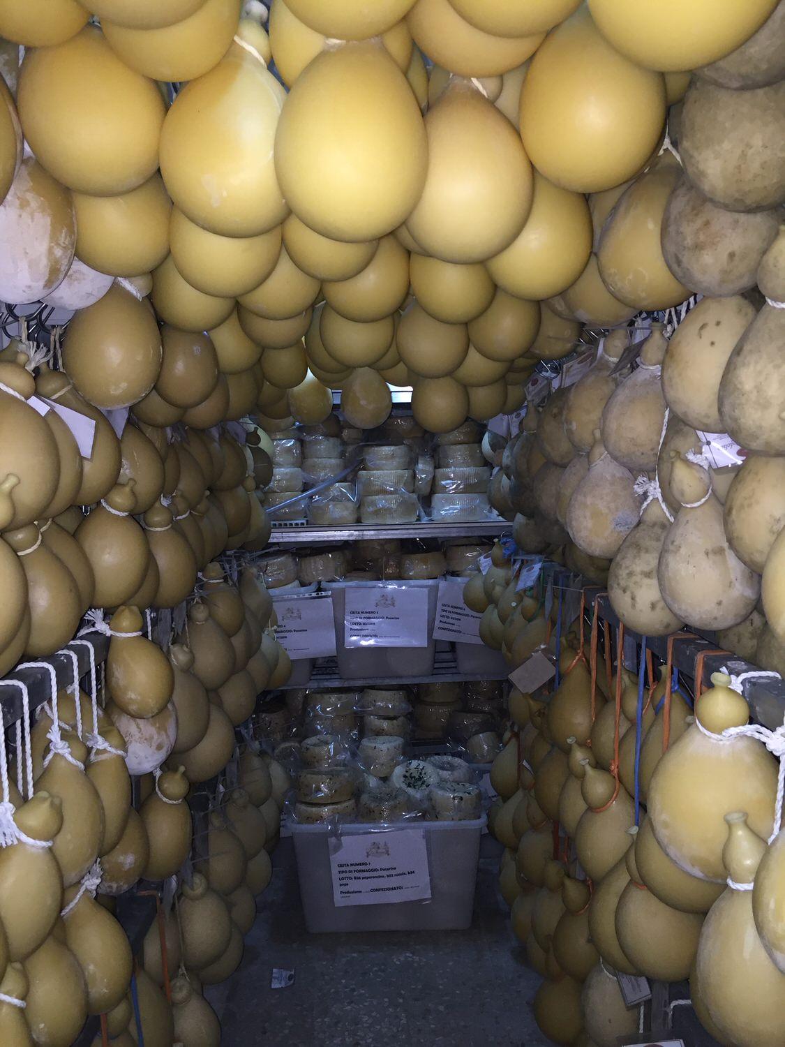 Caciocavallo Podolico Cheese, Italy’s Most Expensive