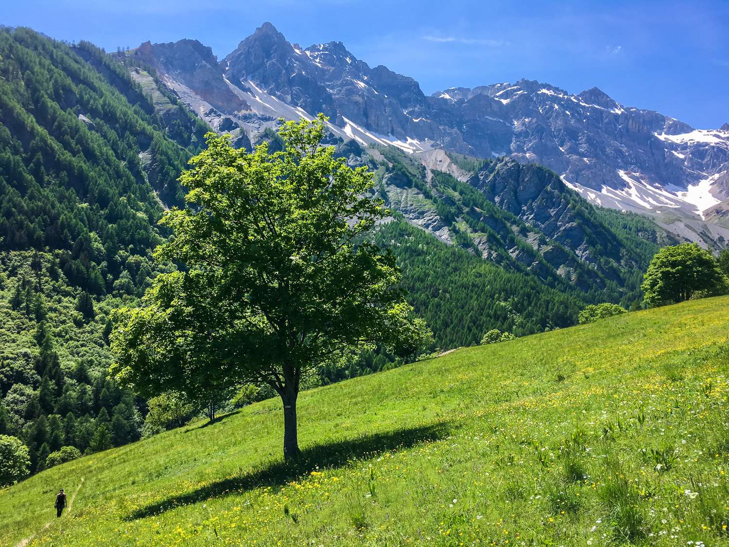 Pictures of Italy Hiking Italian Alps