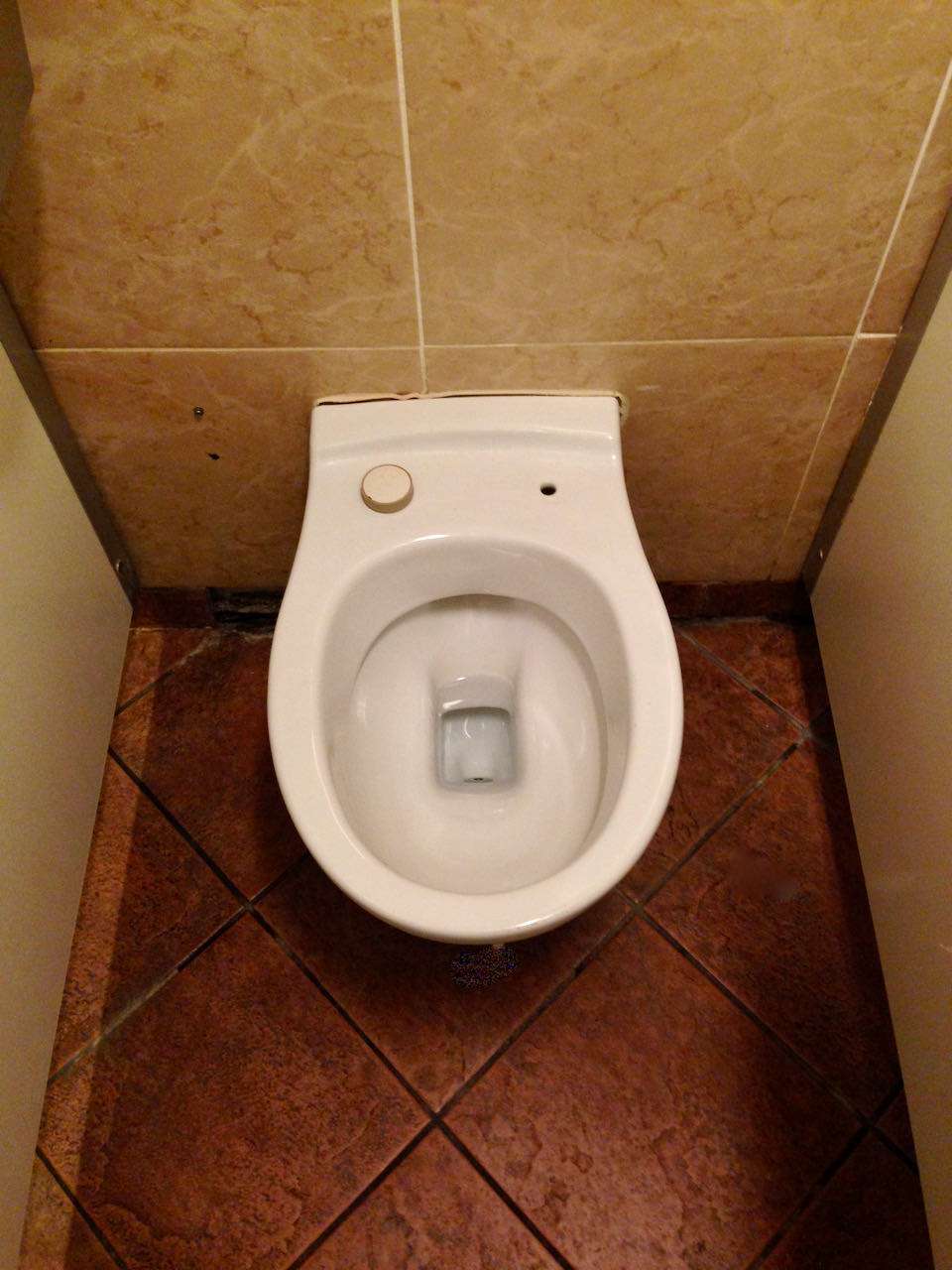 Culture shock in Italy missing toilet seats